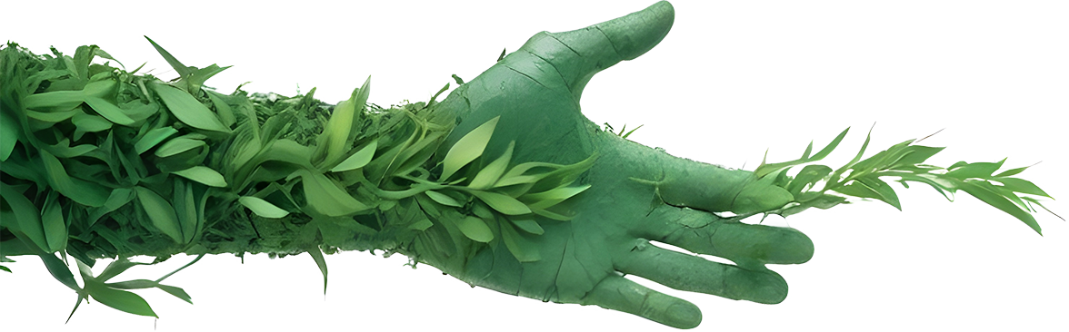Left Hand